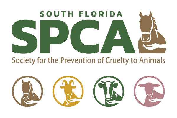South Florida SPCA Logo and Icons