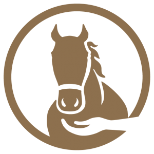 Marketing Horses for Adoption