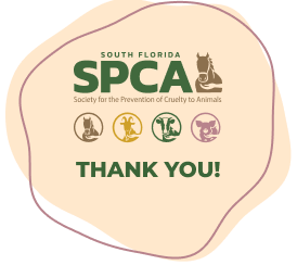 South Florida Society for the Prevention of Cruelty to Animals