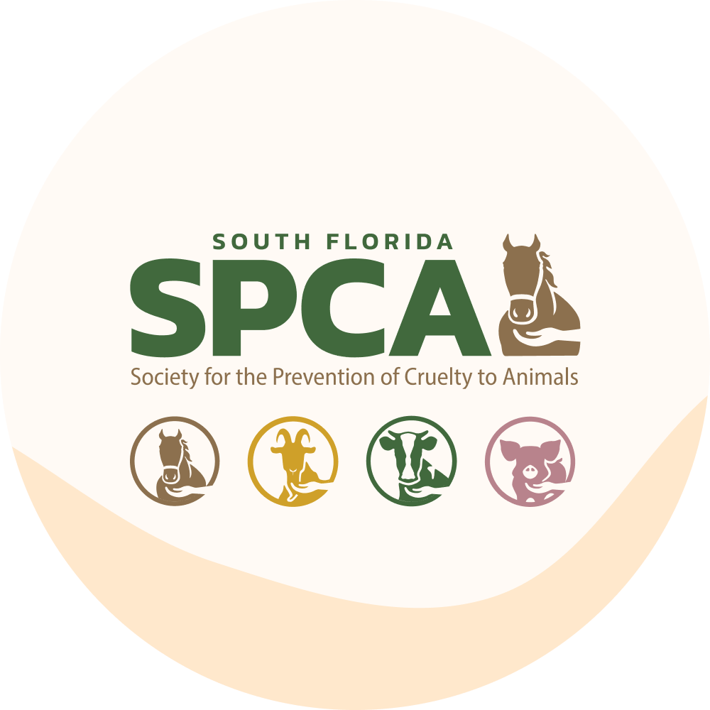 South Florida SPCA