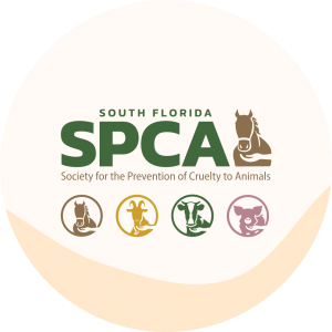 South Florida SPCA Corporate Identity and Icons
