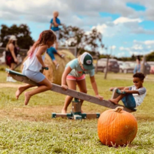 The Little Farm Marketing Pumpkin Patch Event