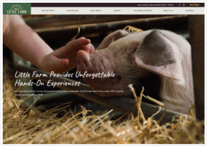 The Little Farm Website on Desktop